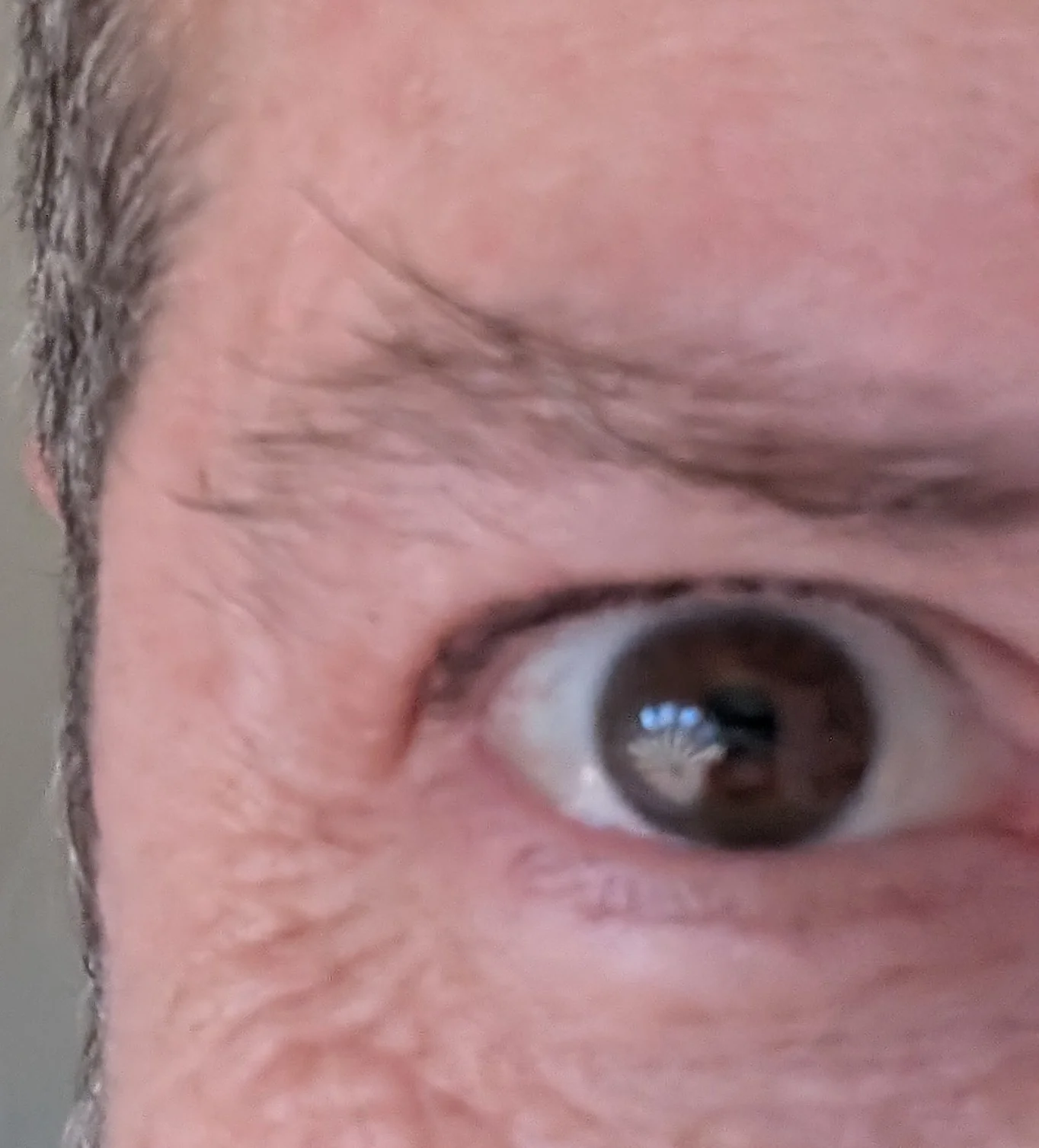 entering my evil eyebrow phase