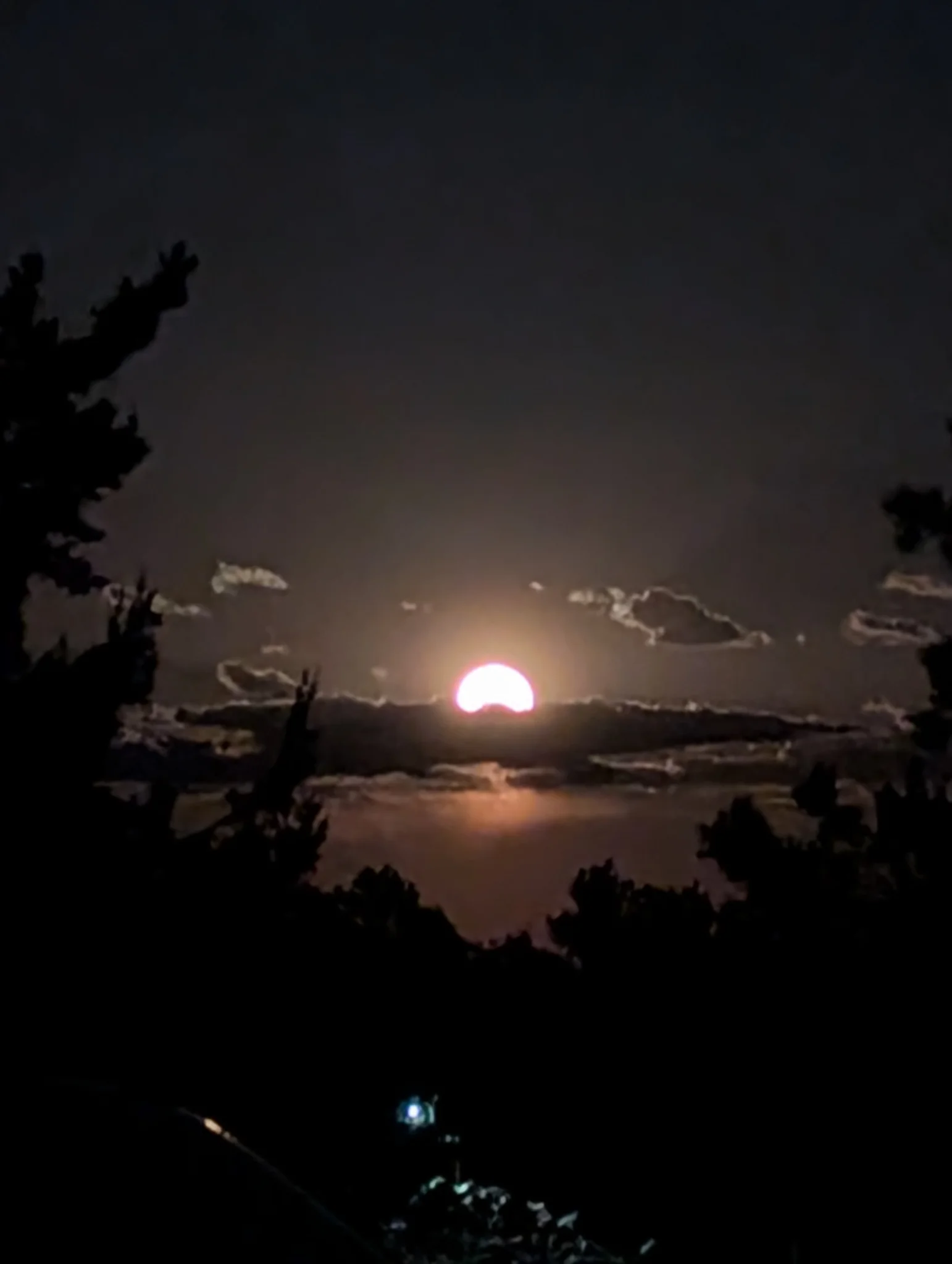 Blue Moon