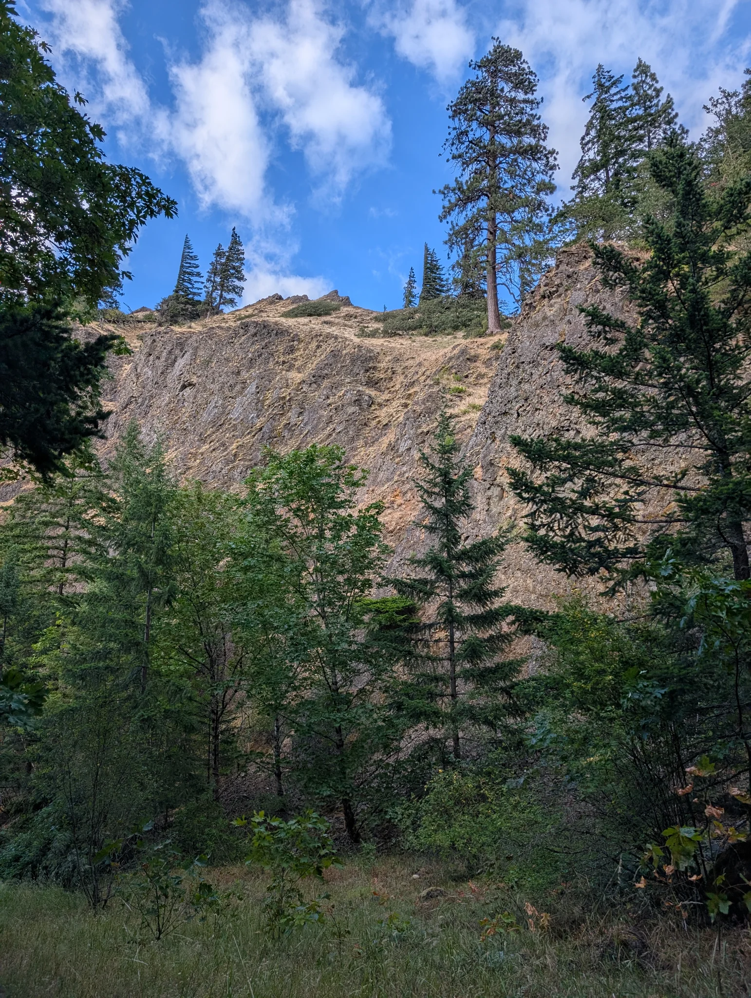 Hood River Justice