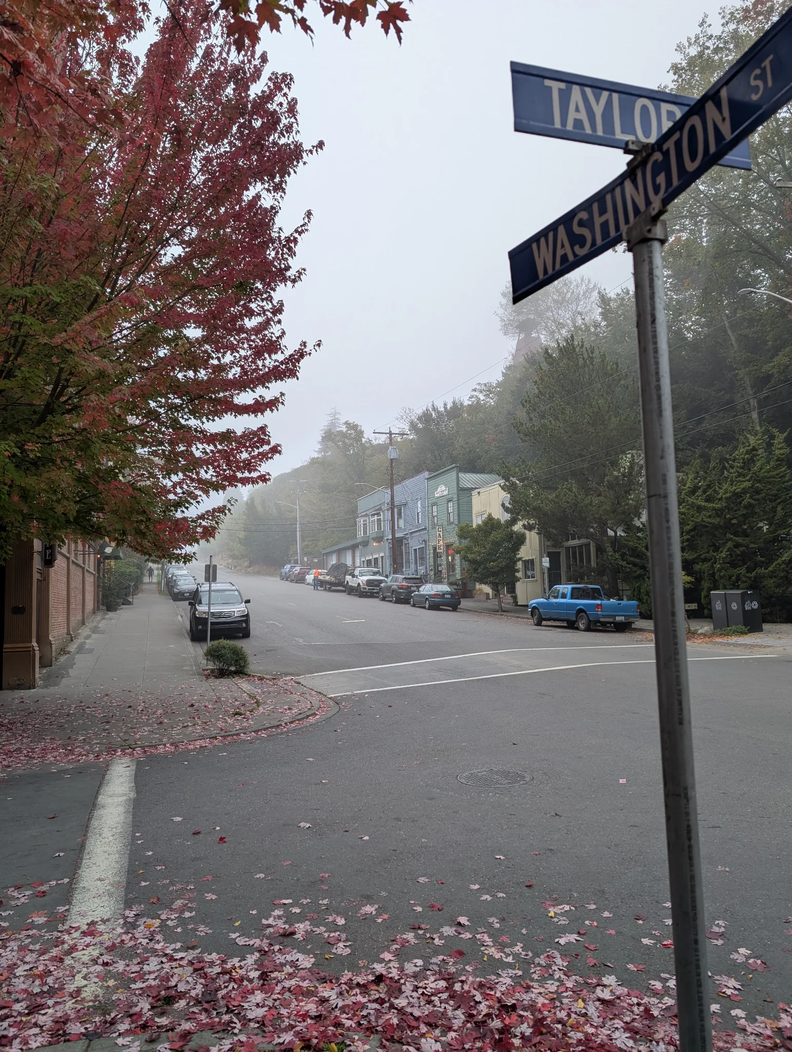 misty vibes
