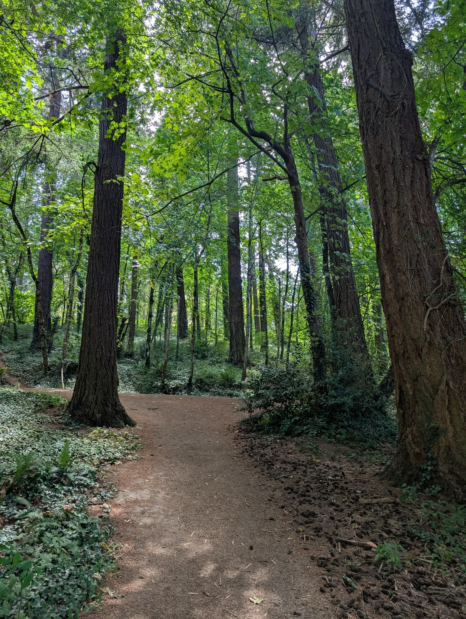 Mt Tabor hike