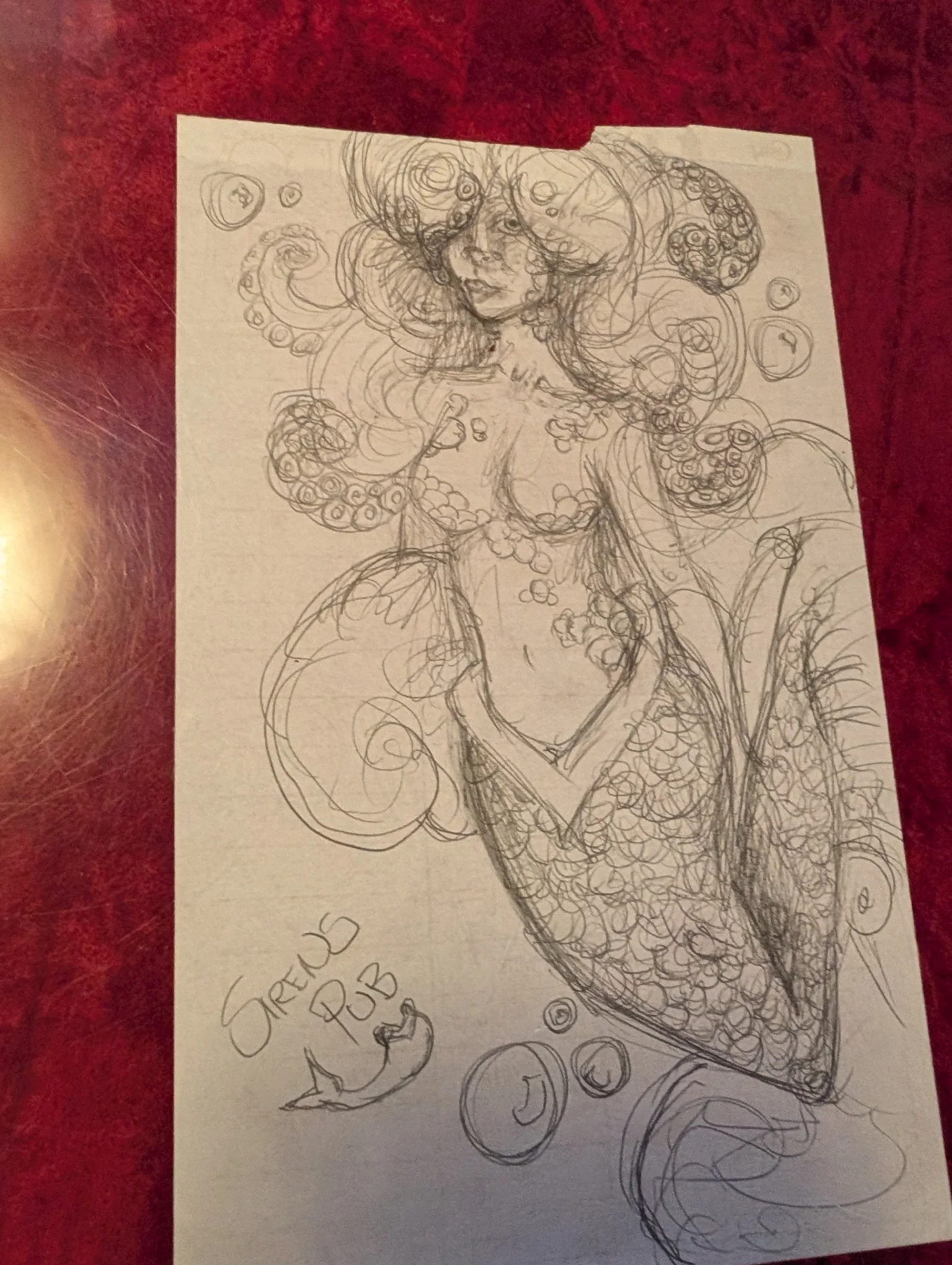 calamari and chowder with mermaid sketches