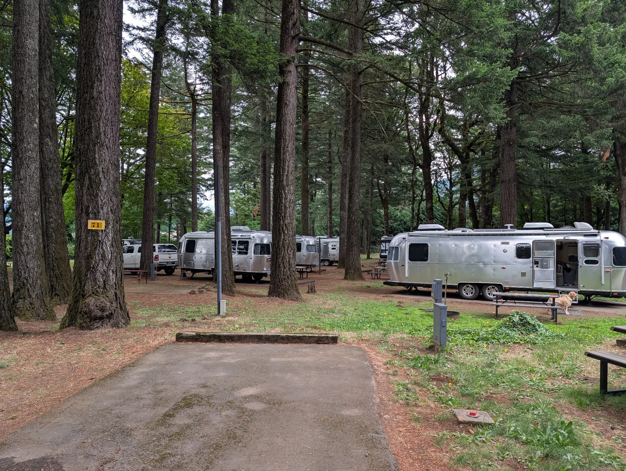 ~25 strong Airstream Caravan in the KOA