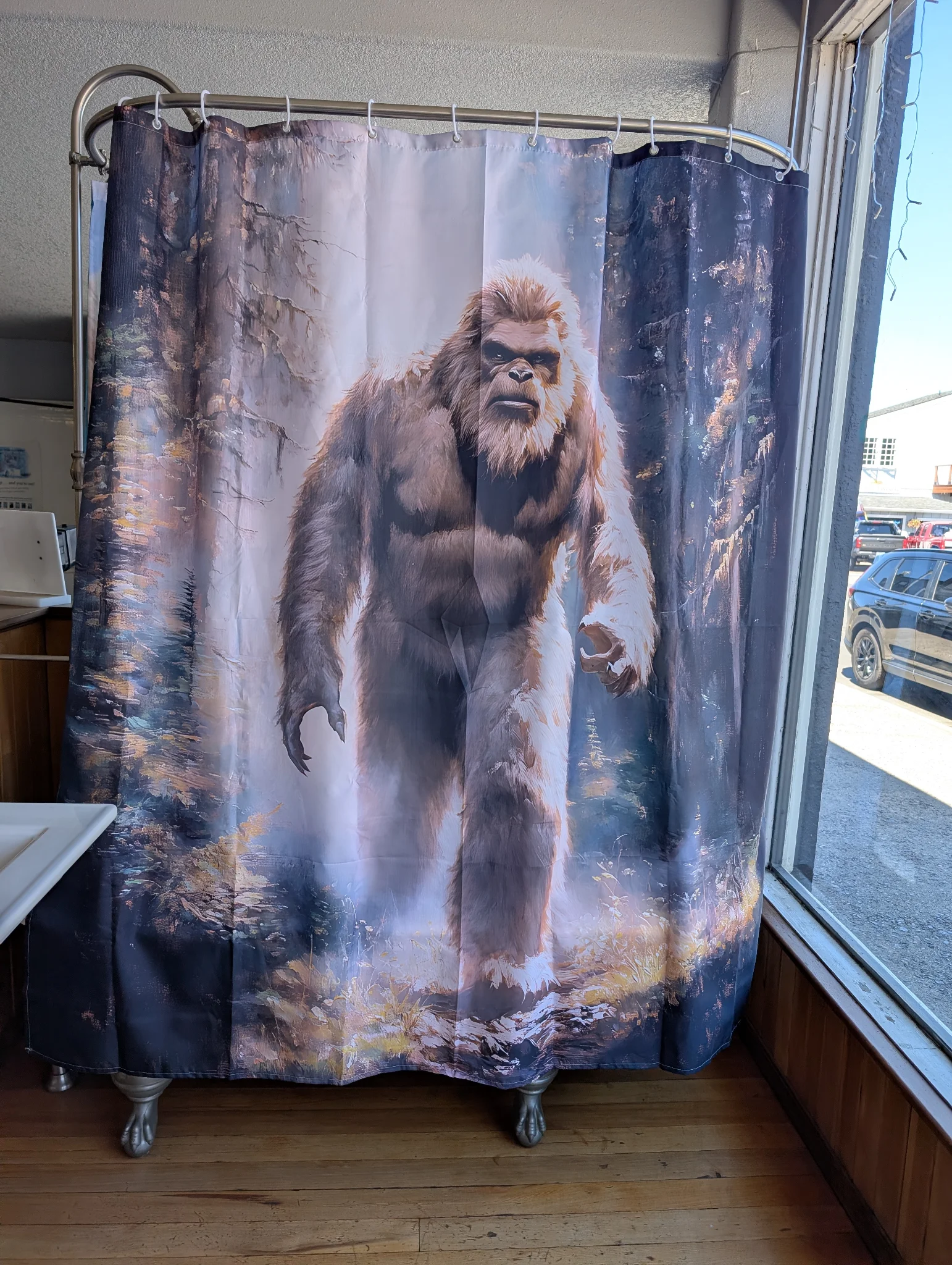 Best shower curtain