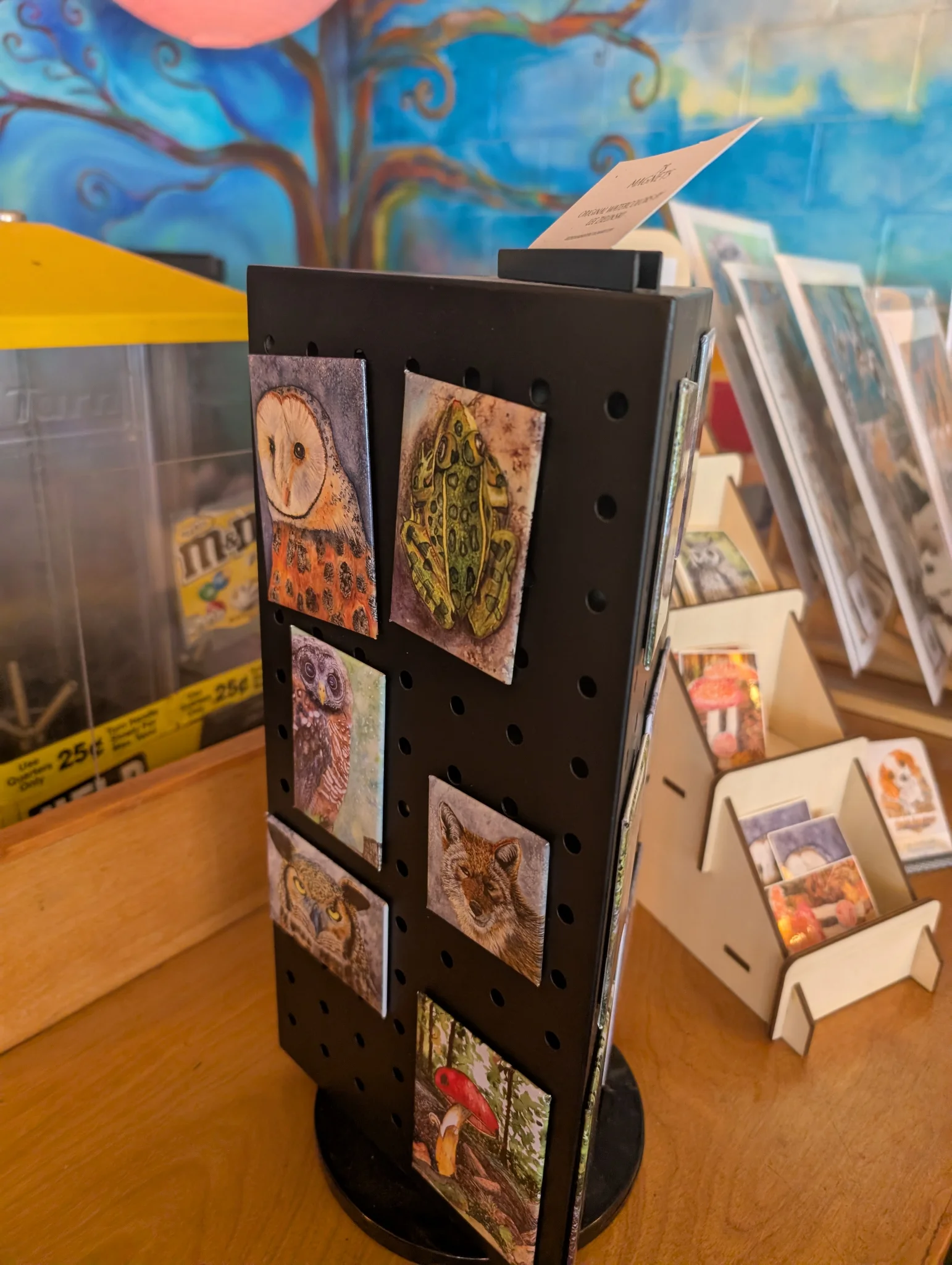 Owl magnets at Pappacinnos cafe/coffee house