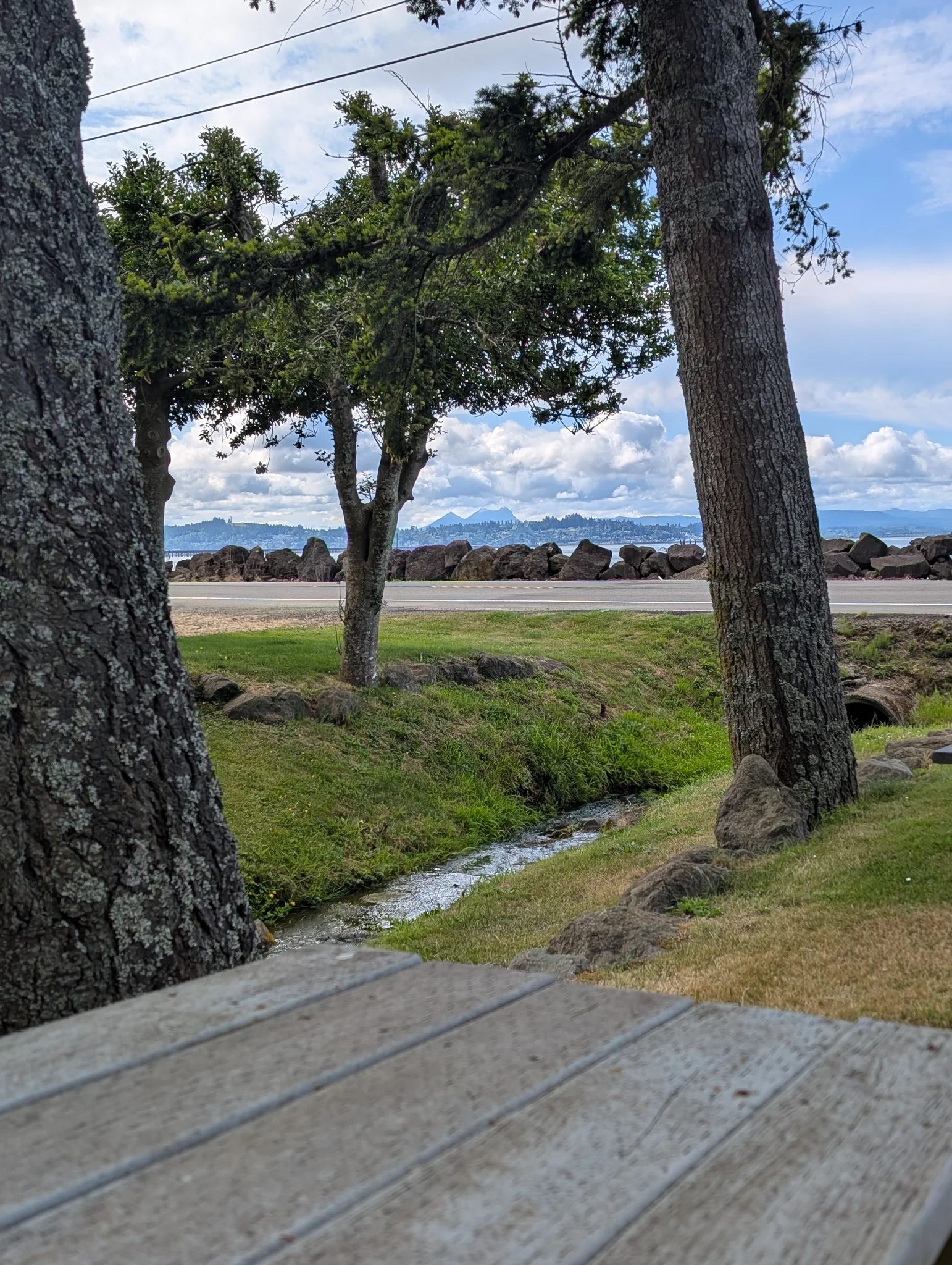 Scenes from the picnic table