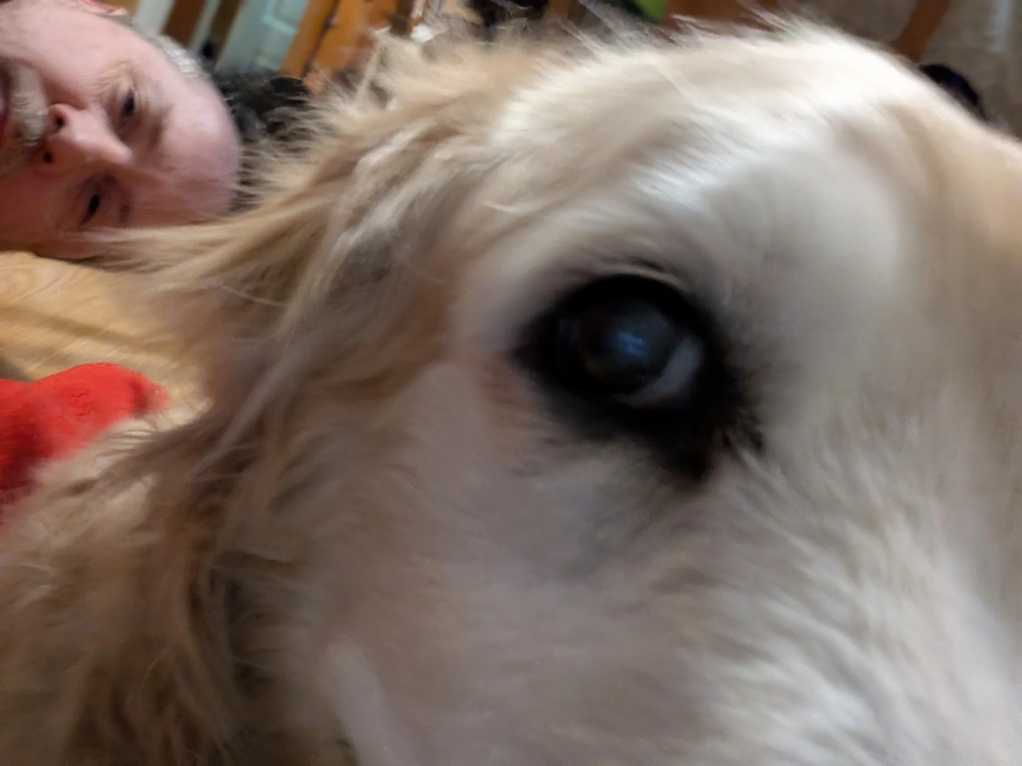 Daisy Mae