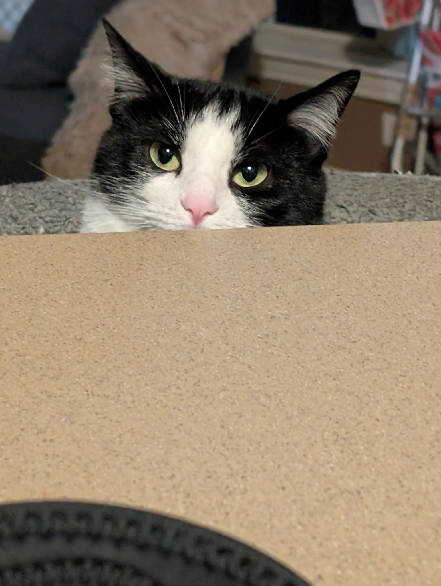 HR would like to see you in their office