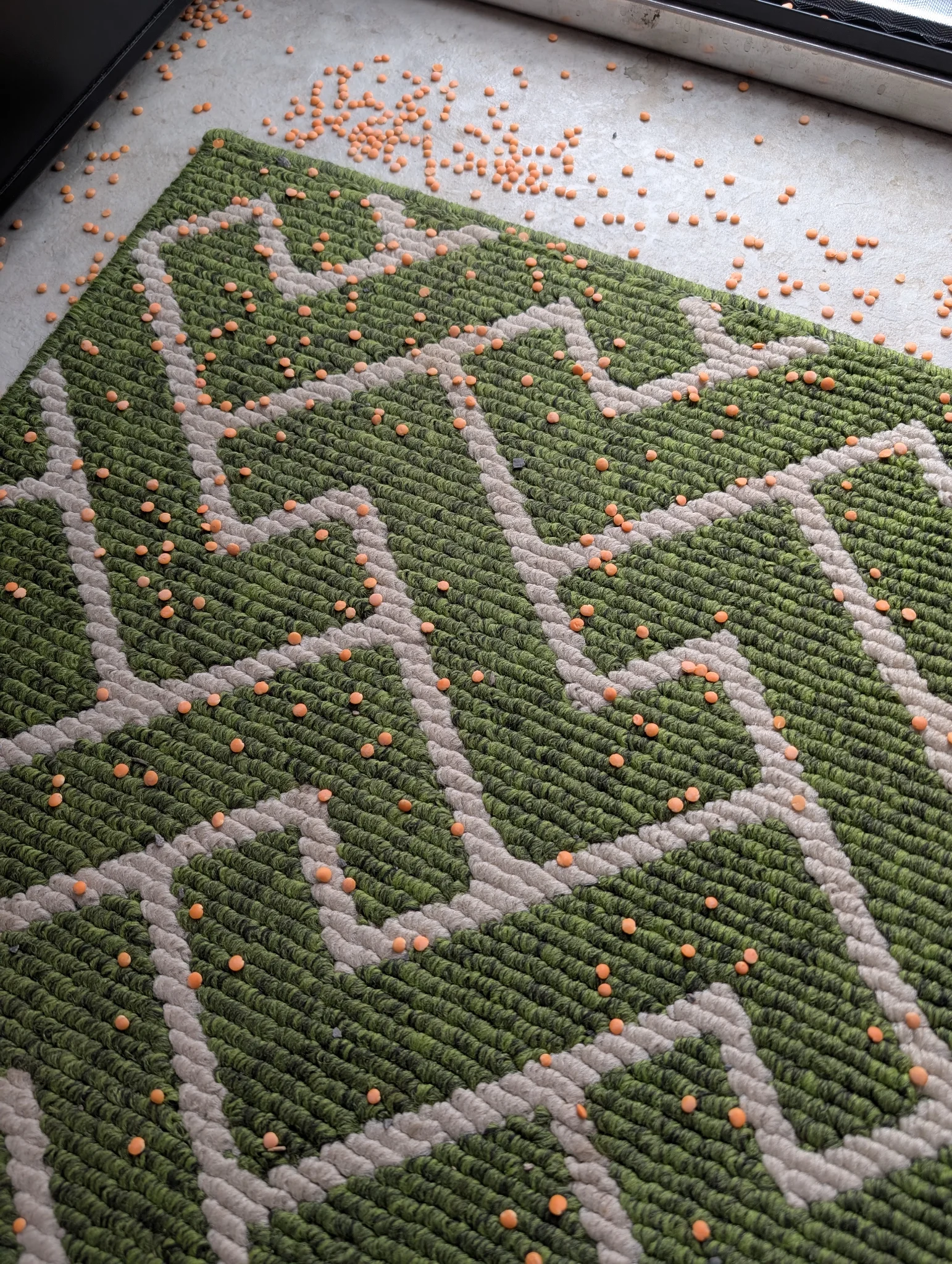 Minor Lentil Explosion