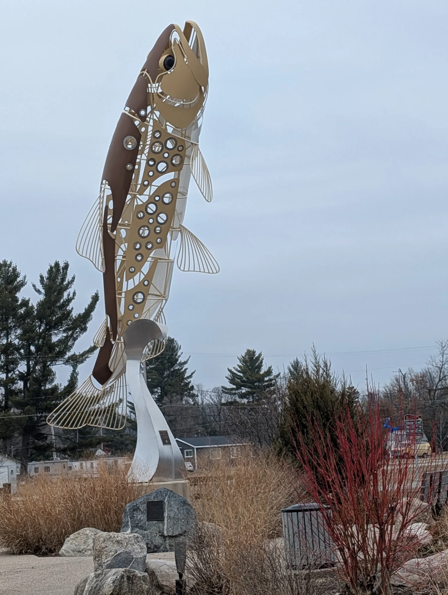 shakedown run with big brown trout