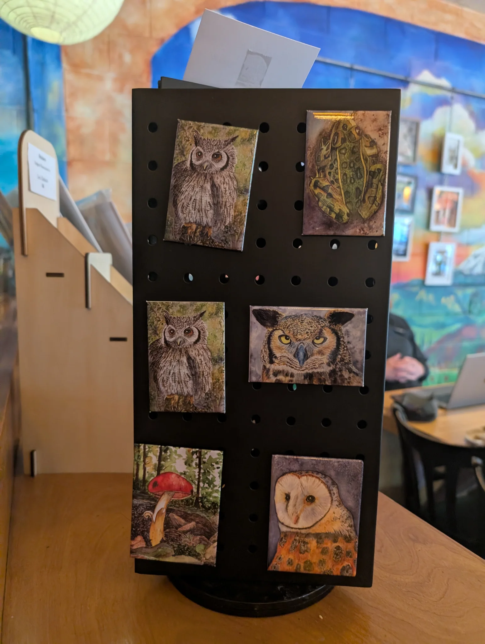 Owl magnets at Pappacinnos cafe/coffee house