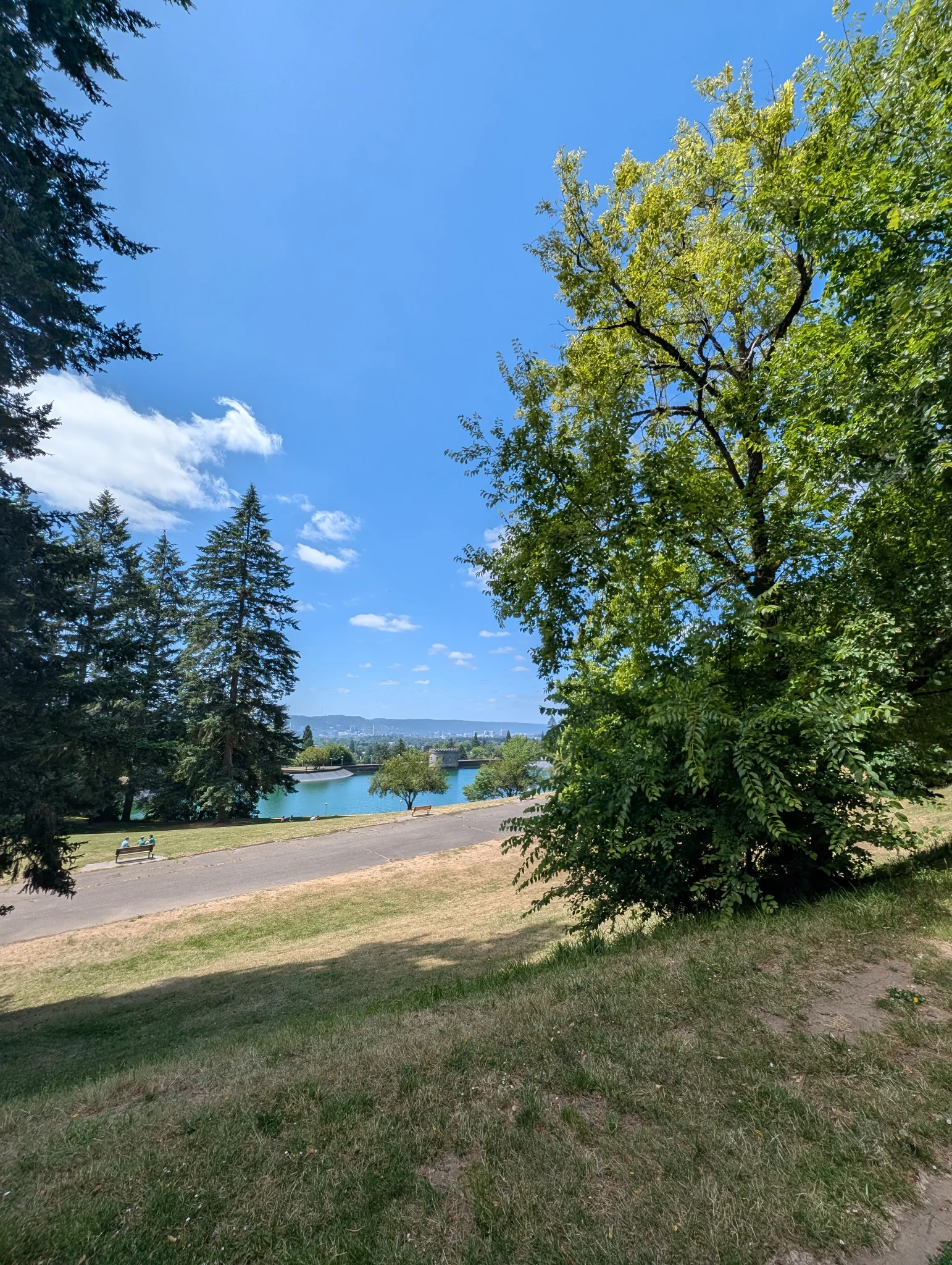 Mt Tabor hike